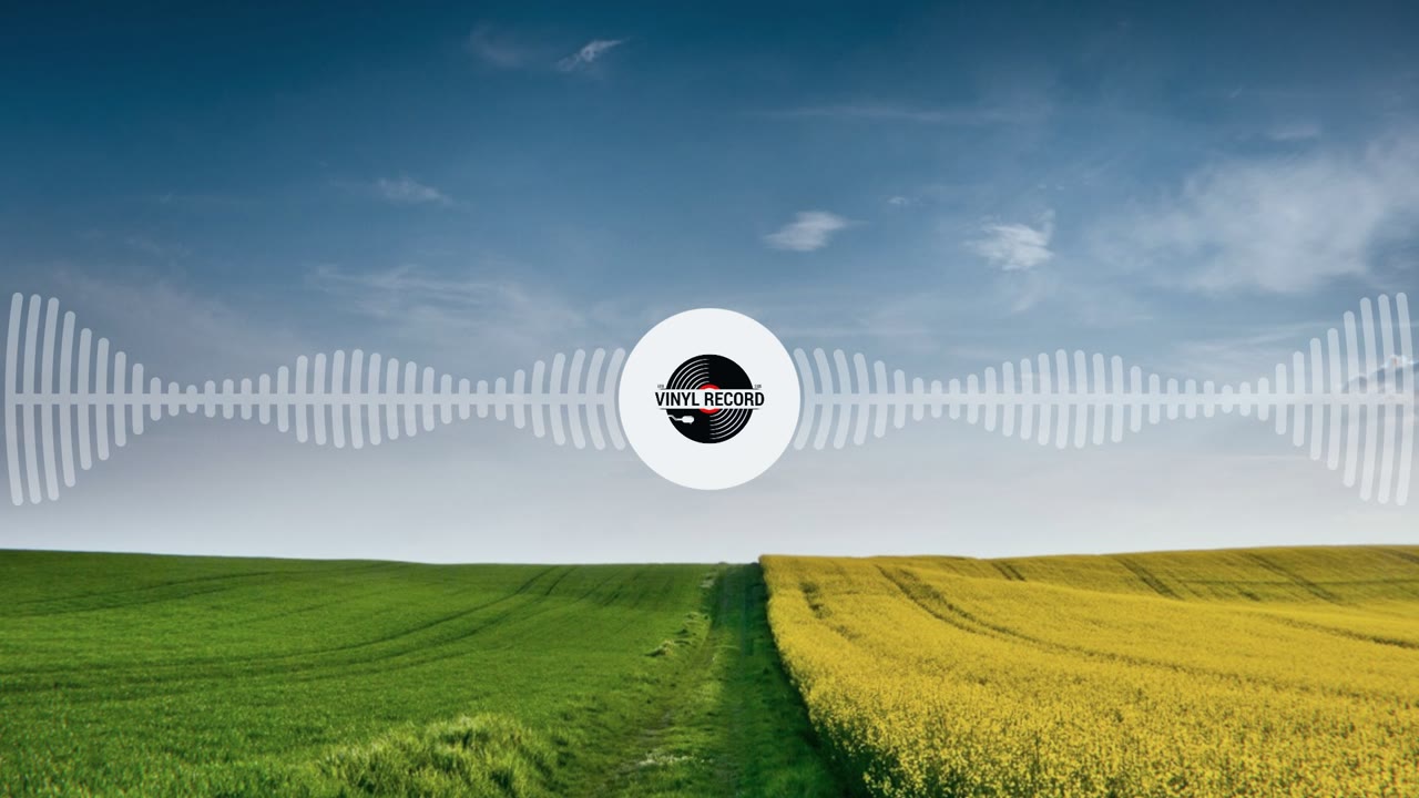 Mirrored Waveform