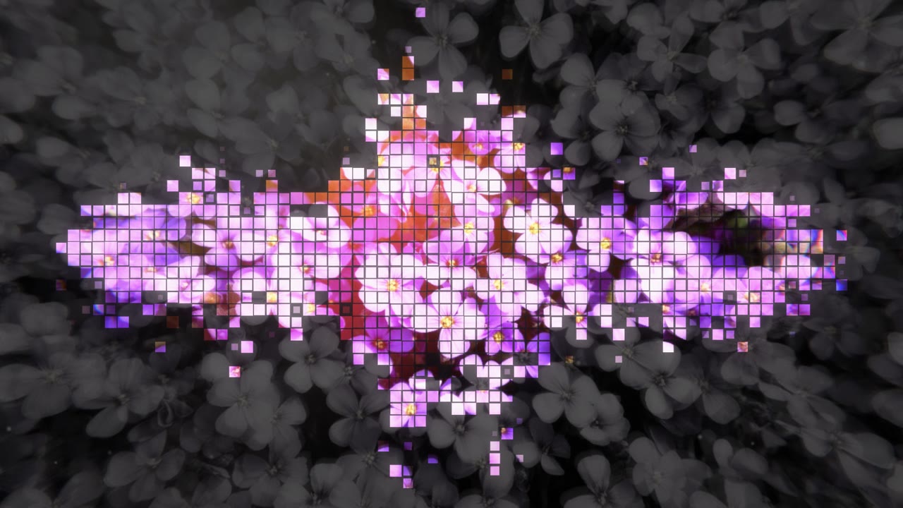 Pixel Bloom